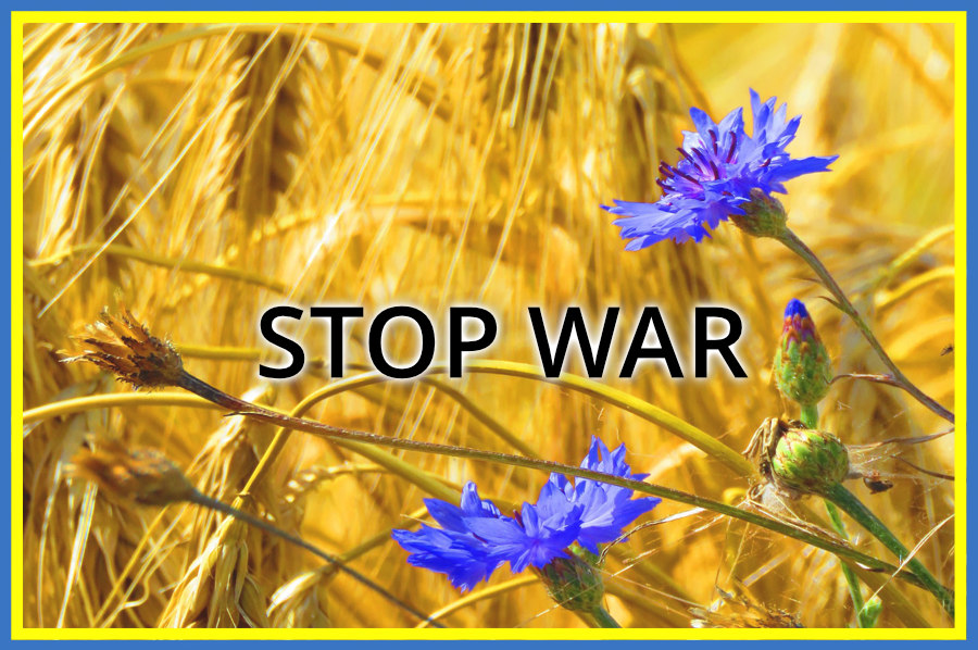 STOP WAR HP